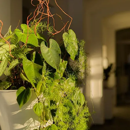 Am Tiefwarensee فندق فارين