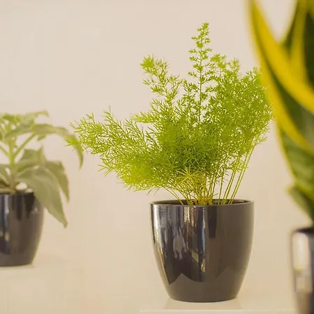 Hotel Am Tiefwarensee Waren (Mueritz)