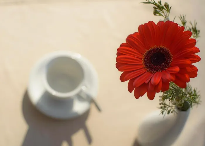 Am Tiefwarensee Hotel Waren (Mueritz)